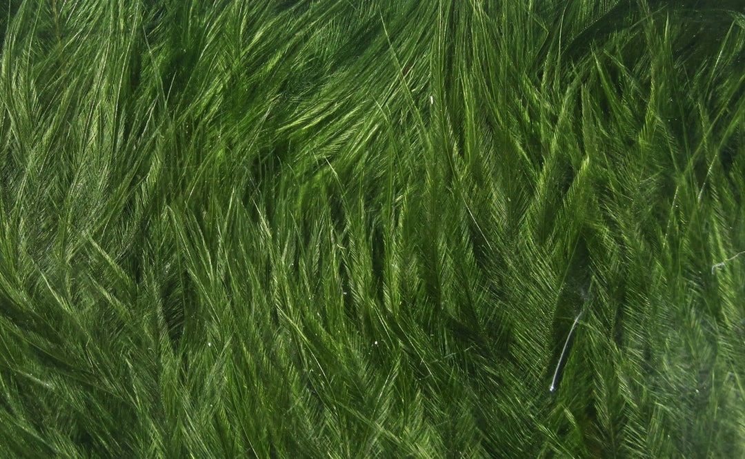 Hareline Wooly Bugger Marabou, view 5