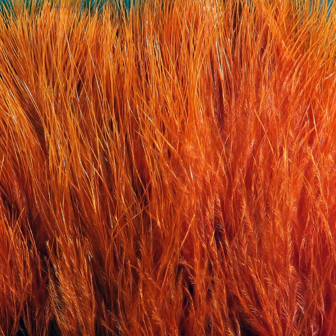 Hareline X-Select Marabou, view 17