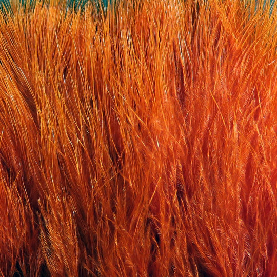 Hareline X-Select Marabou, view 17