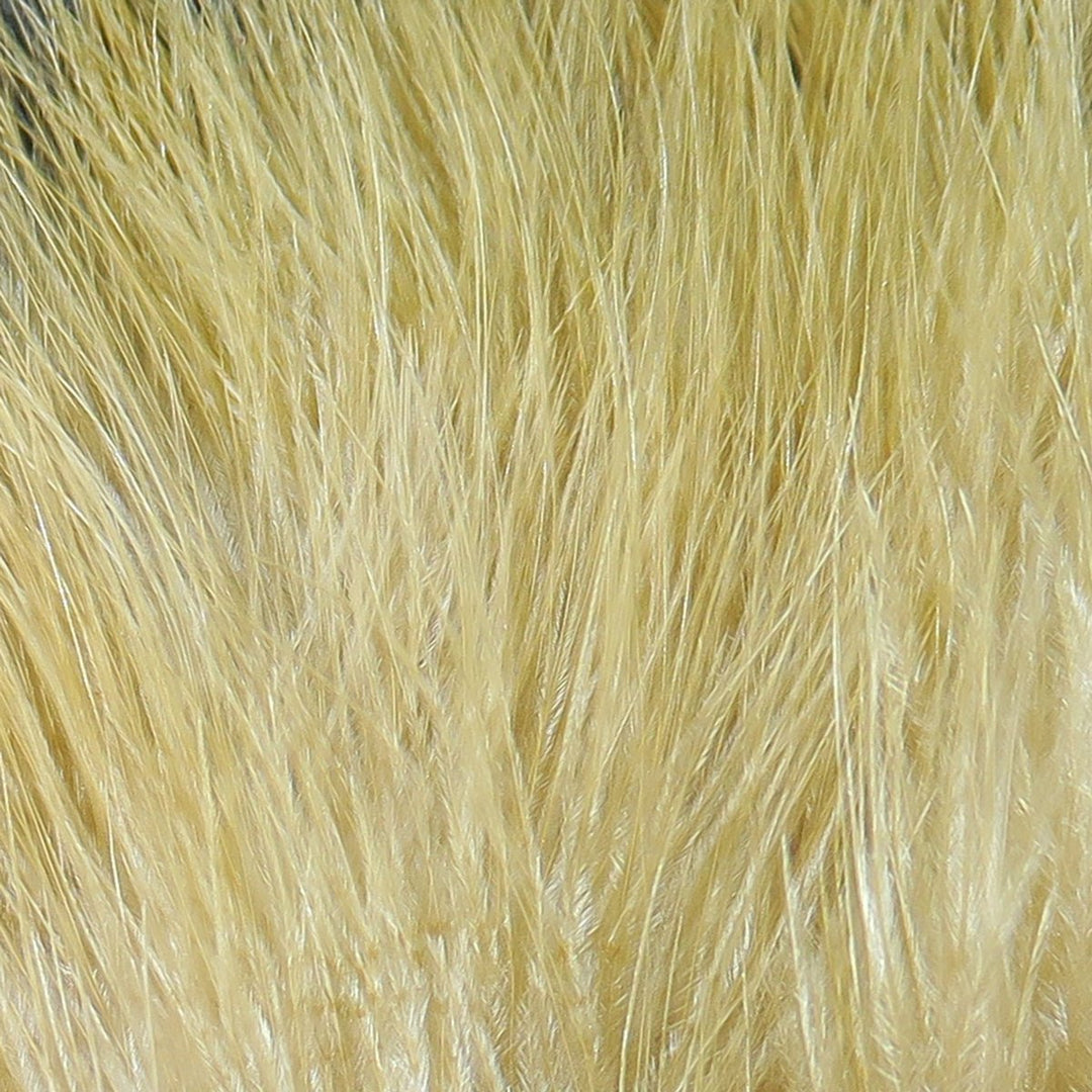 Hareline X-Select Marabou, view 20