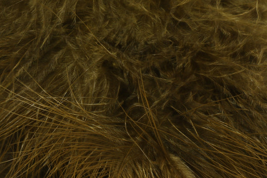 Hareline X-Select Marabou, view 25