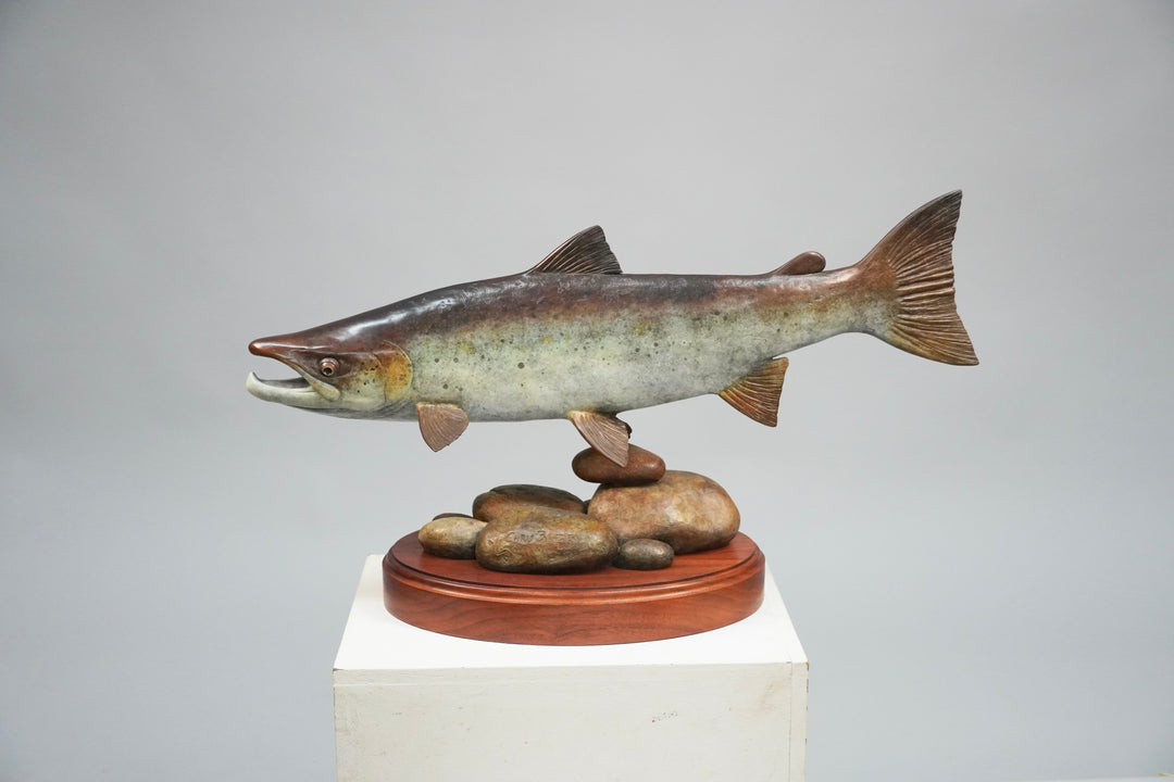 Chris Bladen Atlantic Salmon Study Bronze Sculpture