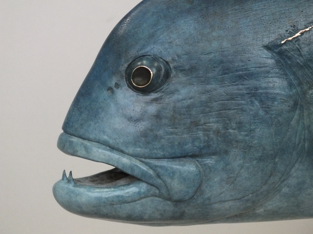 Chris Bladen Giant Trevally Blue Bronze Sculpture, view 2