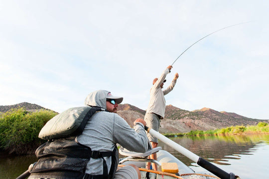Scott Rod Company Session Fly Rod, Hooked