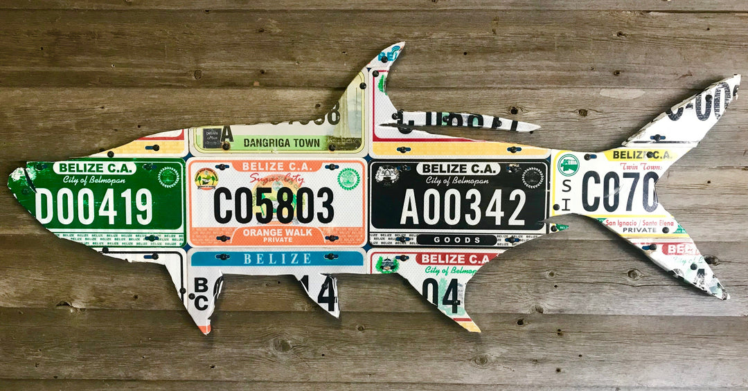Cody's Fish Belize Tarpon License Plate Art