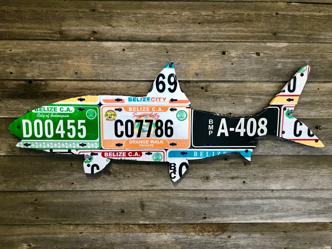 Cody's Fish Belize Bonefish License Plate Art