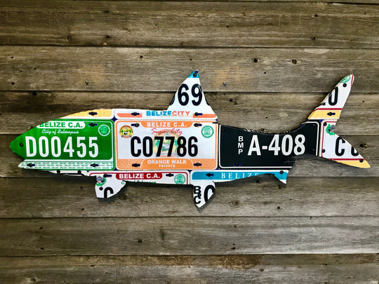 Cody's Fish Belize Bonefish License Plate Art