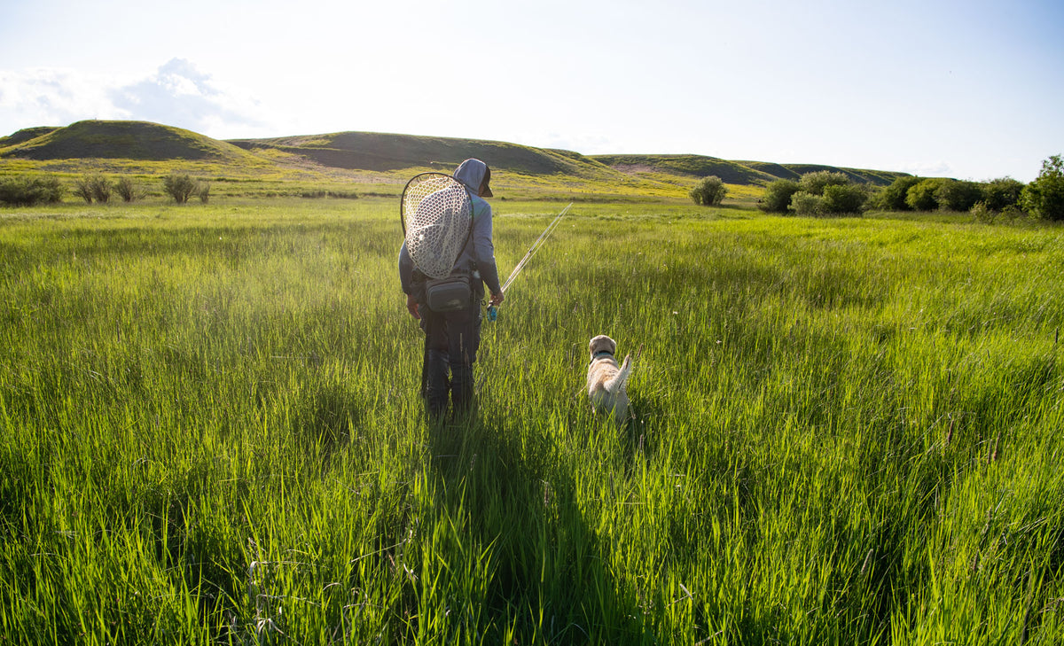 fly fishing in montana