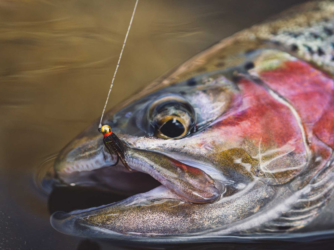 Yakoda Supply Yakoda H2 Flashback Jig (3-Pack), view 5