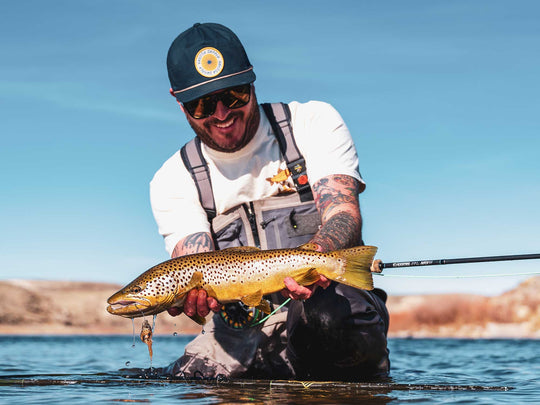 Modern Streamers for Trophy Trout: New Techniques, Tactics, & Patterns | Tailwaters Fly Fishing