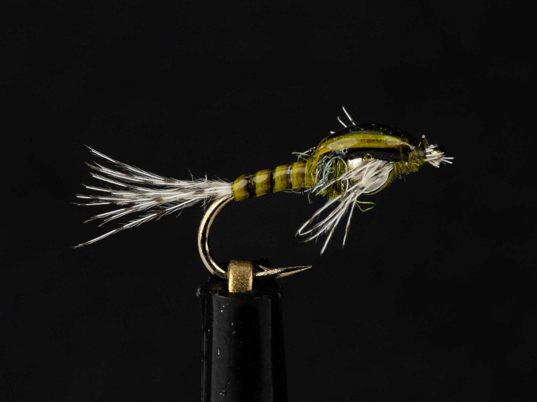 Yakoda QB Baetis (3-Pack) | Tailwaters Fly Fishing