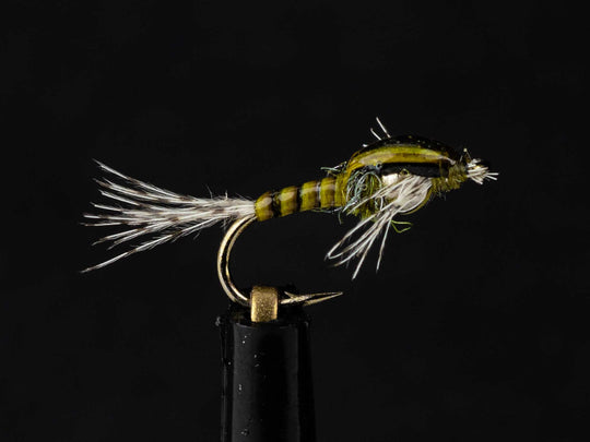 Yakoda QB Baetis (3-Pack) | Tailwaters Fly Fishing