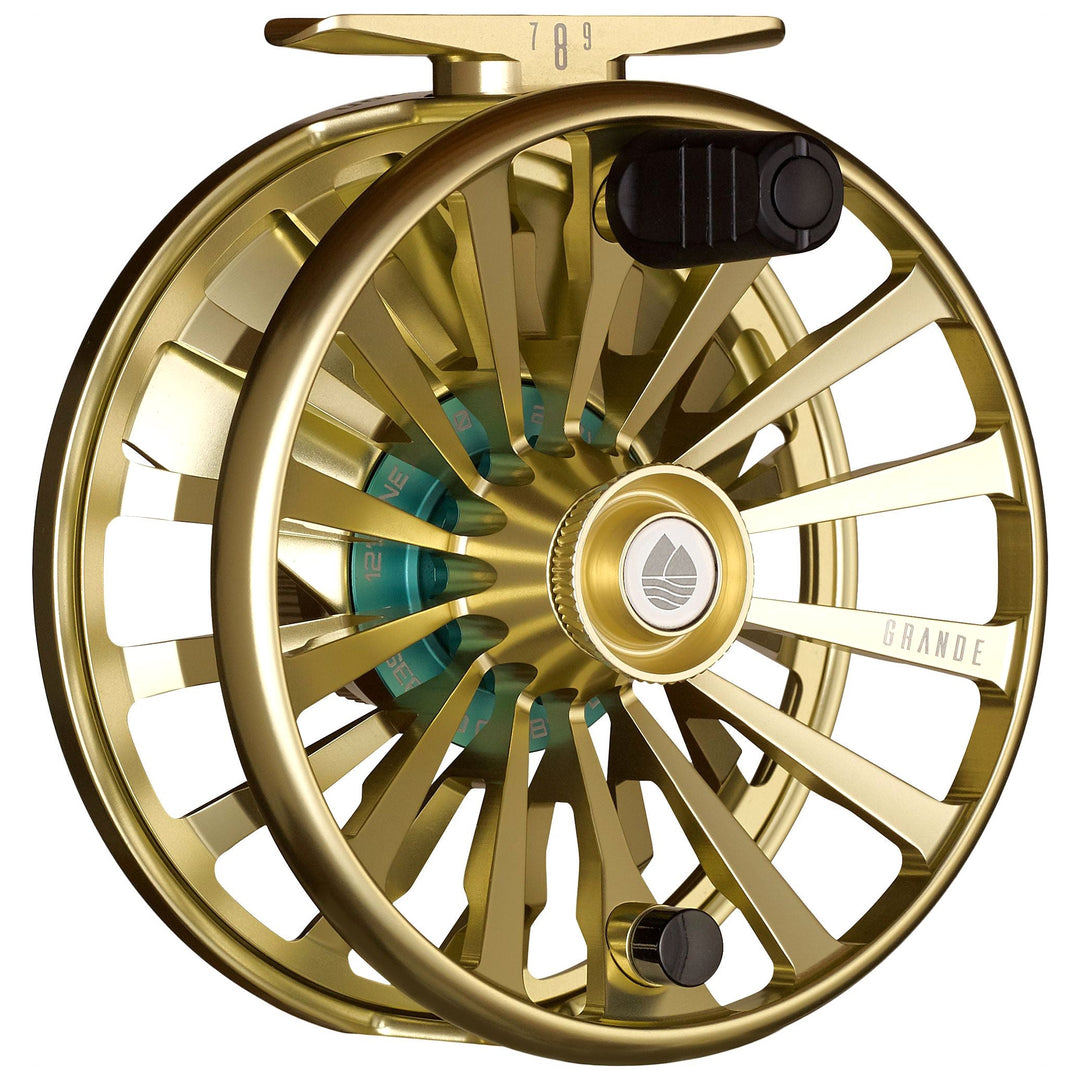 Redington Grande Reel, Champagne, view 2