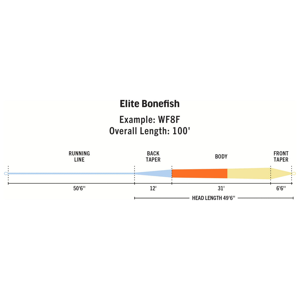 RIO Products Elite Bonefish Fly Line, view 2