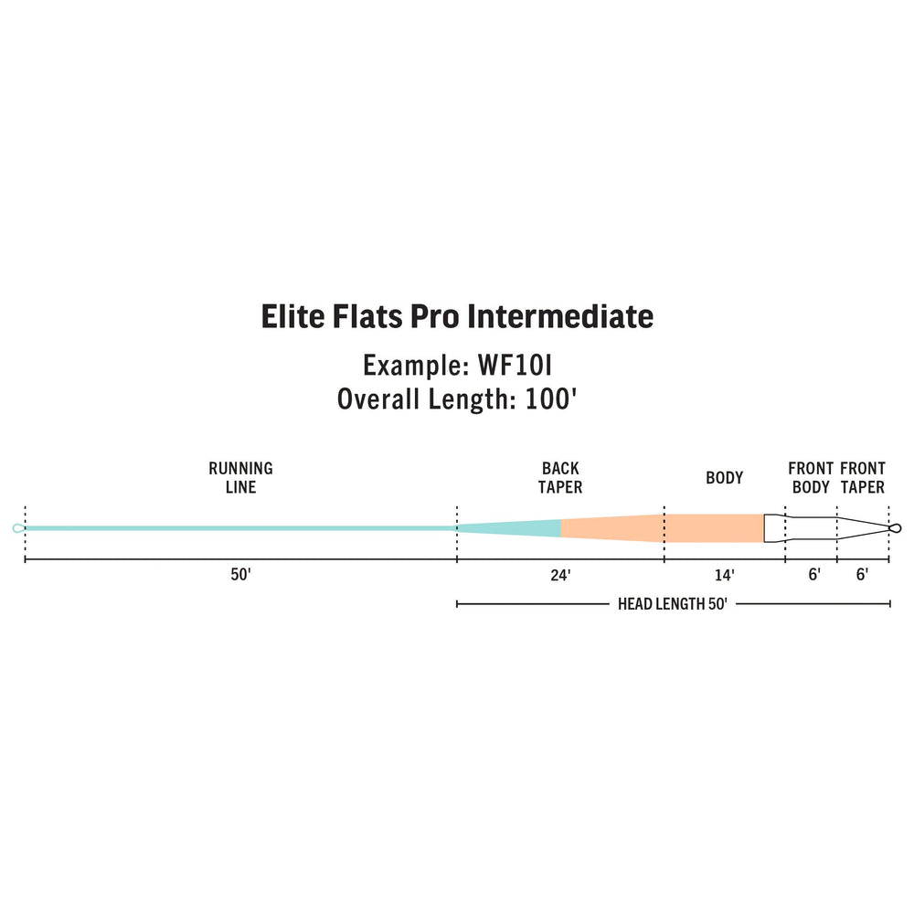 RIO Products Elite Flats Pro Intermediate Fly Line, view 2