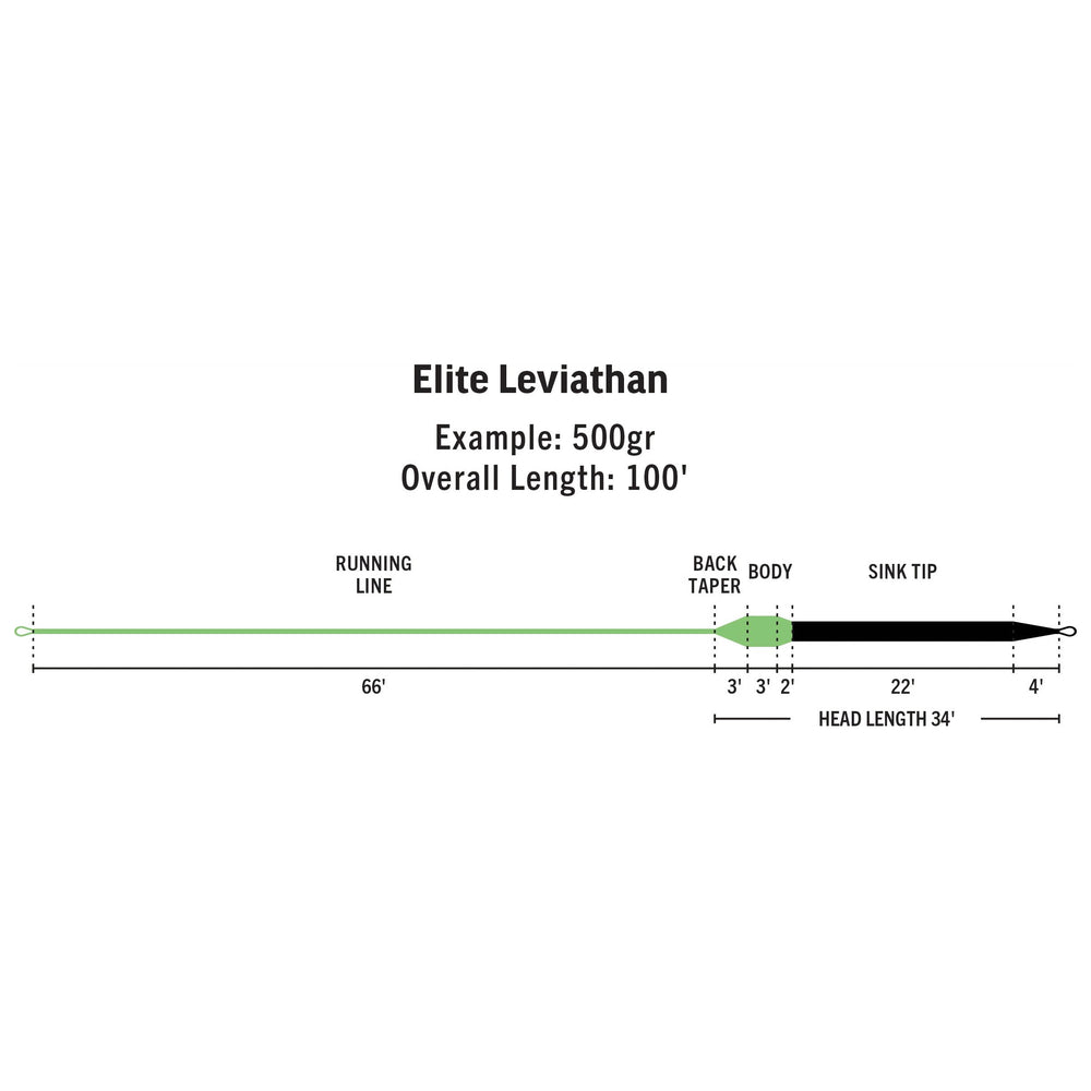 RIO Products Elite Leviathan Fly Line, view 2