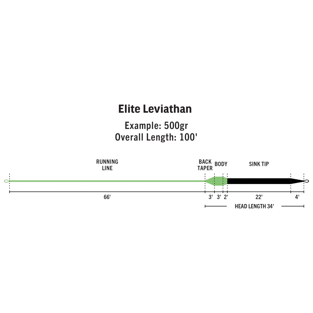 RIO Products Elite Leviathan Fly Line, view 2
