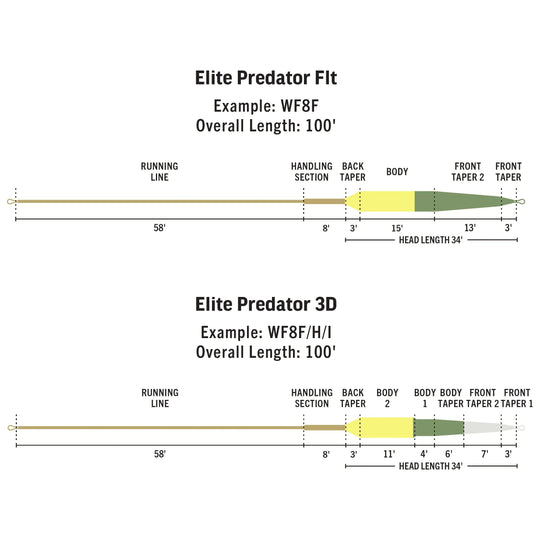 RIO Products Elite Predator Fly Line, view 2