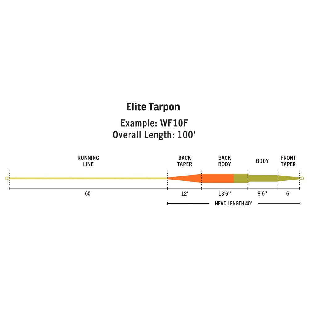 RIO Products Elite Tarpon Fly Line, view 2