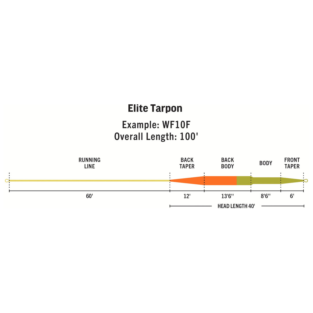 RIO Products Elite Tarpon Fly Line, view 2