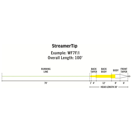 RIO Products Premier Streamer Tip Fly Line, view 2