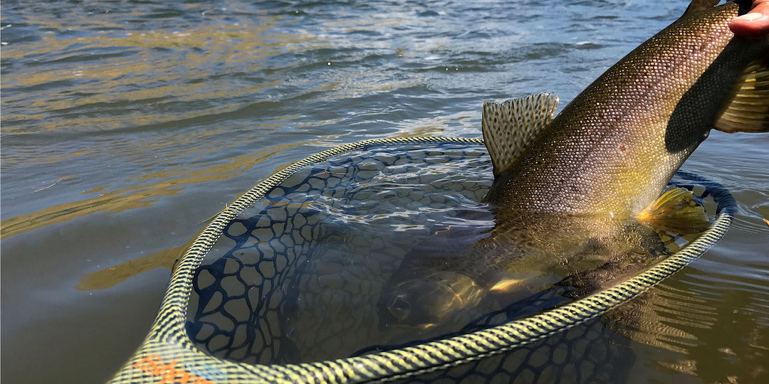Fishpond Nomad Mid-Length Net, River Armor, view 5
